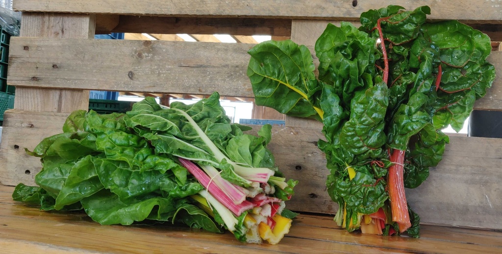 Bette -  mix couleur BIO - (500 g ) -10 Bottes