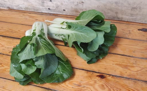 chou Pak Choï BIO - 6 pc