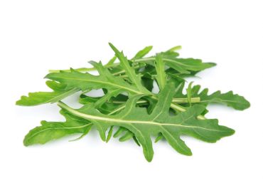 Roquette BIO - 10 bottes