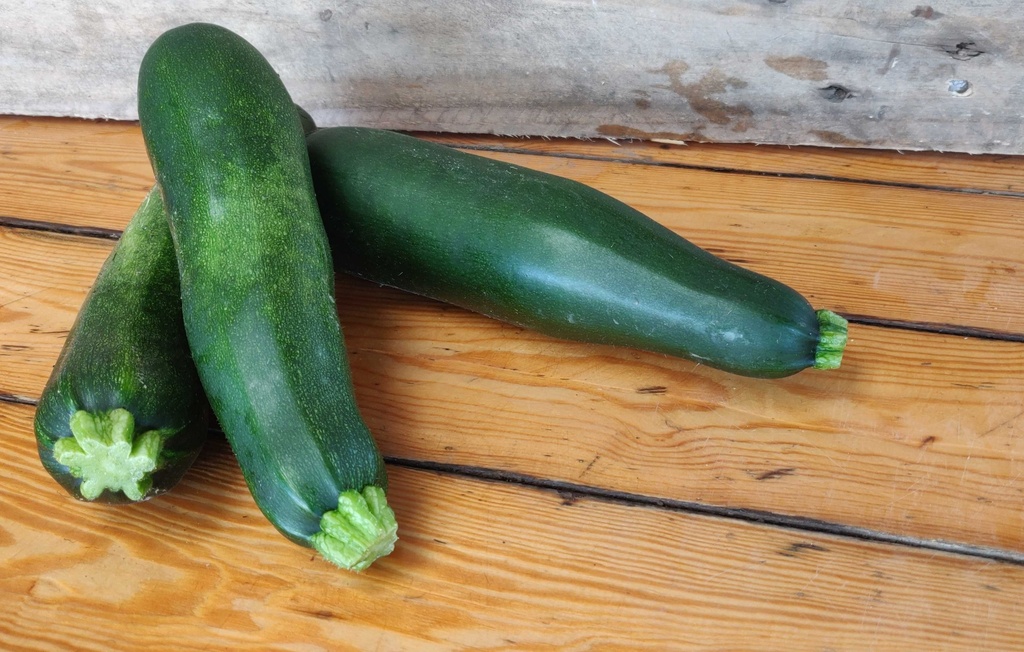 Courgette Allongée Verte  BIO - 5 Kg