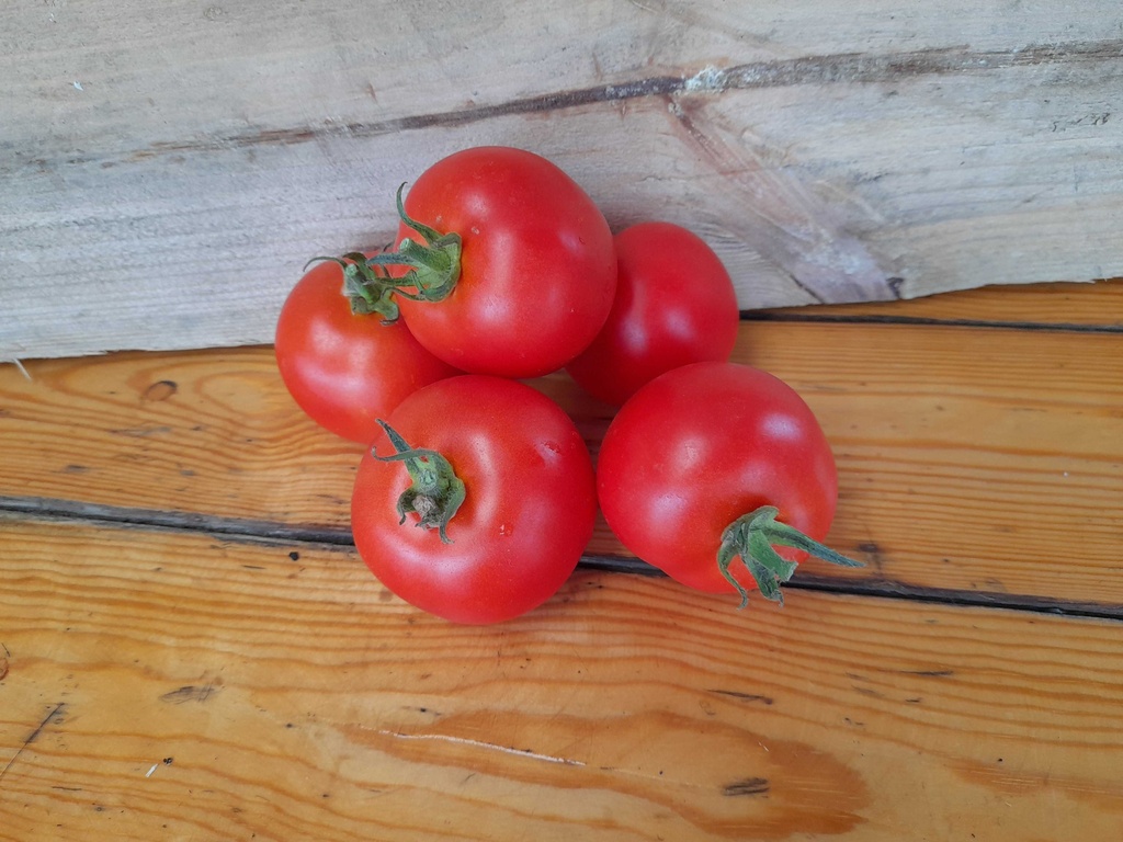 Tomate rouge BIO - 5 Kg