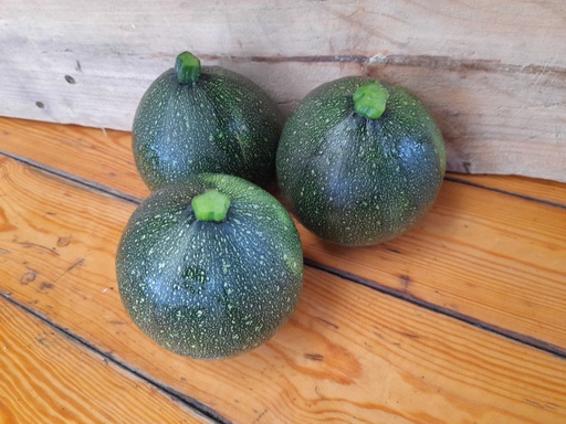 Courgette Ronde verte BIO - 4 Kg