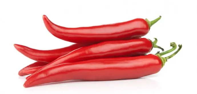 Piment de Cayenne BIO- 50 Pc 🌶🌶🌶