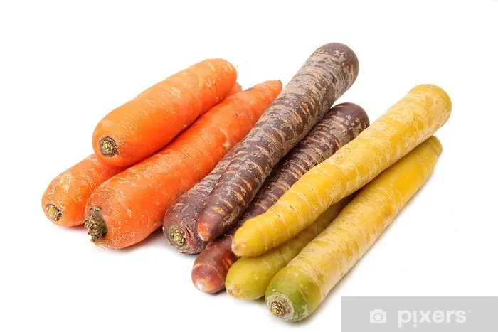 Carotte couleur Bio - 5 kg