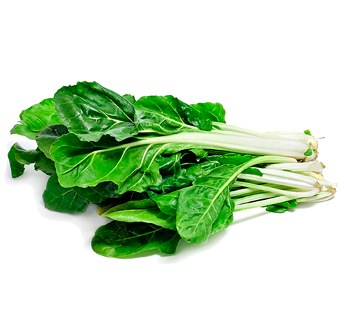 Bette Blanche BIO - (500 g ) -10 Bottes