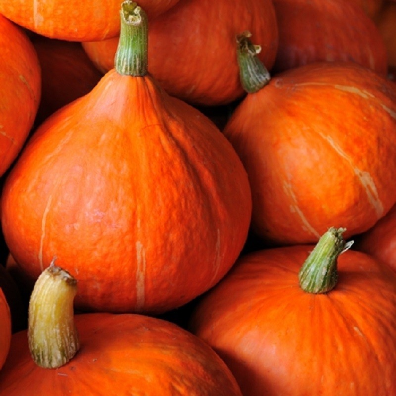 Potimarron Orange BIO - 12 Kg