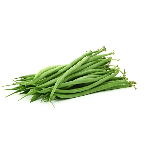 Haricot vert BIO - 3 Kg 