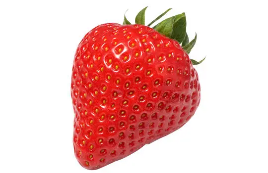 Fraise Bio - Ravier de 500g - 10 raviers 