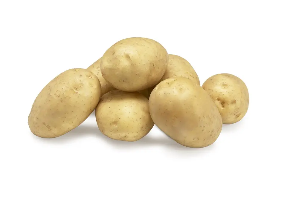 pomme de terre PRIMEUR "Twinner" BIO-10 Kg