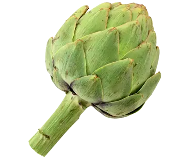 artichaut BIO - 6Kg