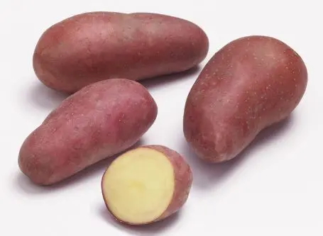 pomme de terre  "Allouette" BIO-10 Kg