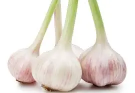 Ail frais BIO - 5 kg 