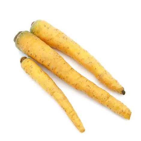 Carottes jaunes Bio - 5 kg 