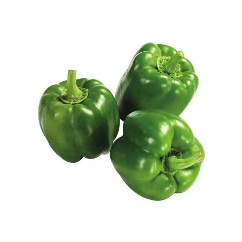 Poivron Vert BIO - 3 Kg 