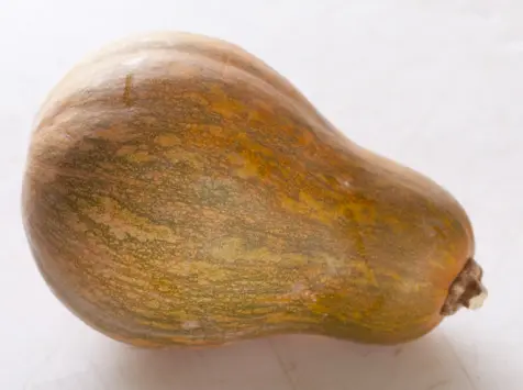 Courge - Sucrine du Berry BIO - 12 kg 