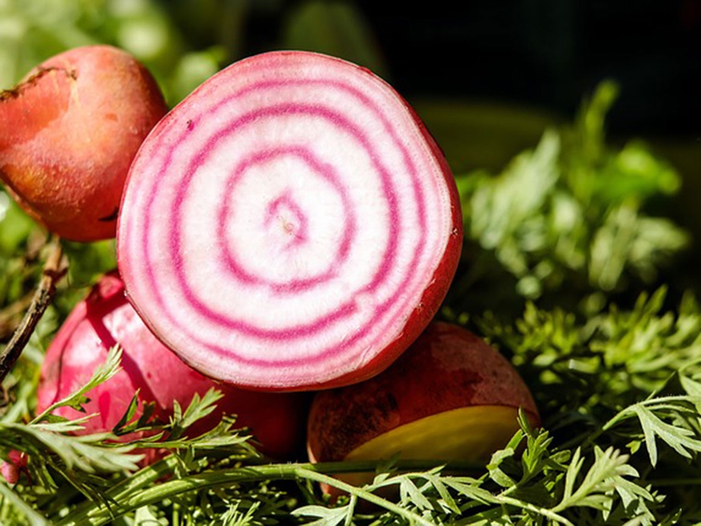 Betterave Chioggia VRAC BIO - 5 Kg 