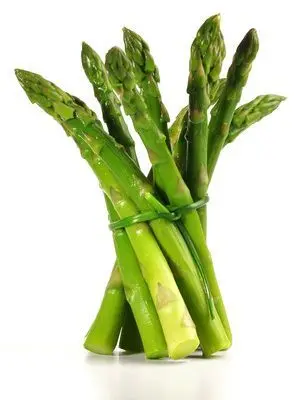 Asperges Vertes BIO - botte de 500g - 8 pc