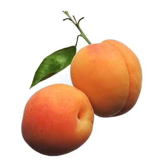 FR - Abricot BIO - 5 kg 