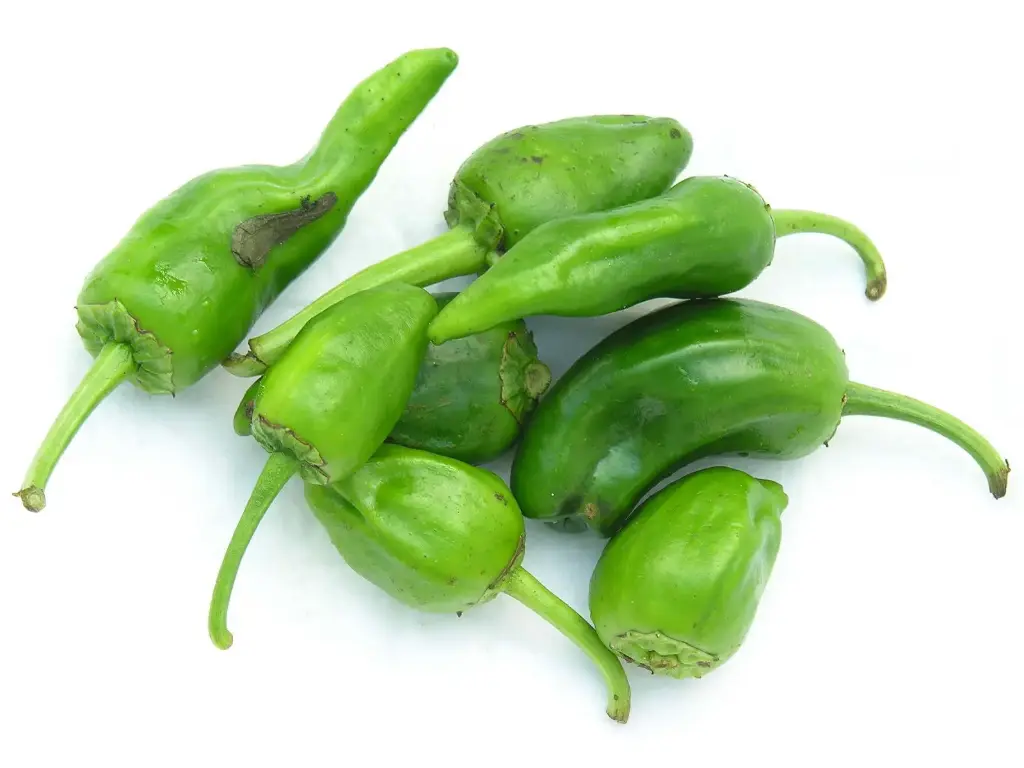 Poivron - piment de Padrón  BIO - 1 Kg 