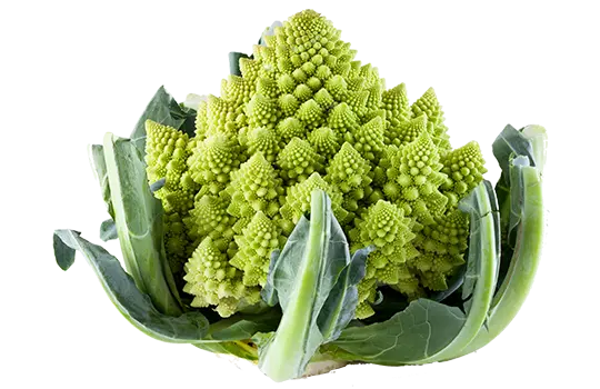 Chou romanesco  BIO - 8 pc  